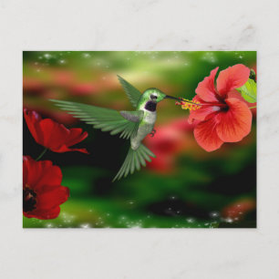 Carte postale de colibri