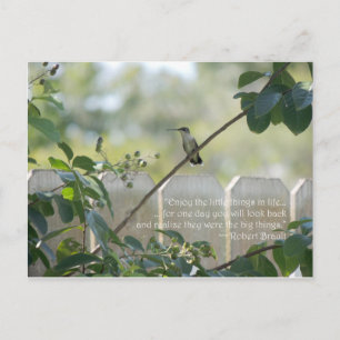 Carte postale de colibri avec citation "Petites ch