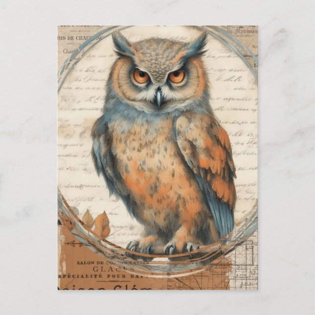 Carte postale de collage de hibou vintage aquarell (Devant)