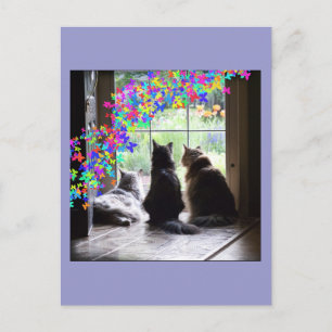 Carte postale de condoléance de chat de pont en