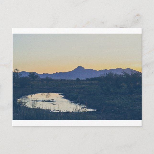 Carte postale de Cookes Peak 12 (Devant)