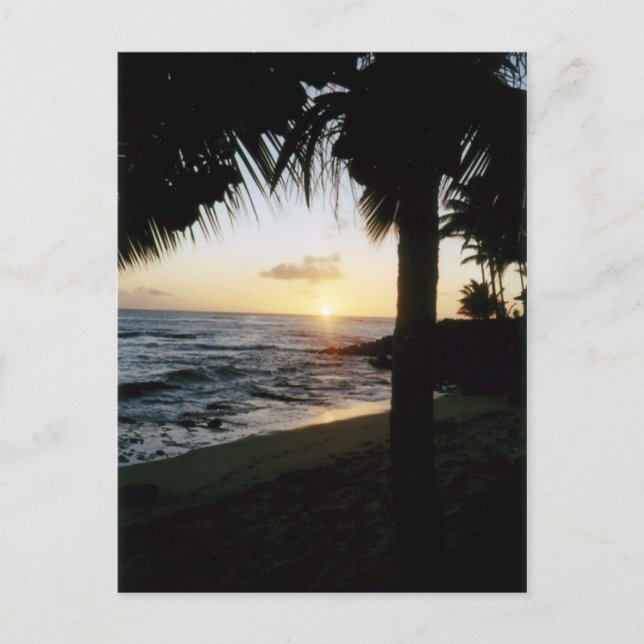 Carte postale de coucher du soleil de plage de St (Devant)