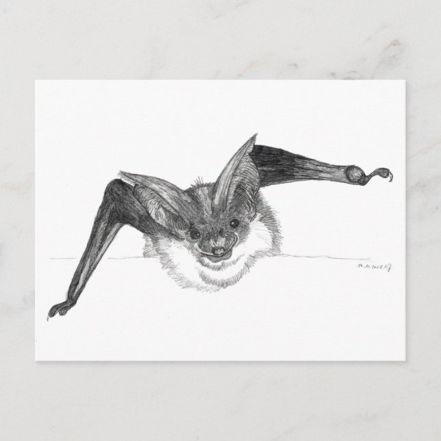Carte postale de croquis de batte par Nicole Janes (Devant)