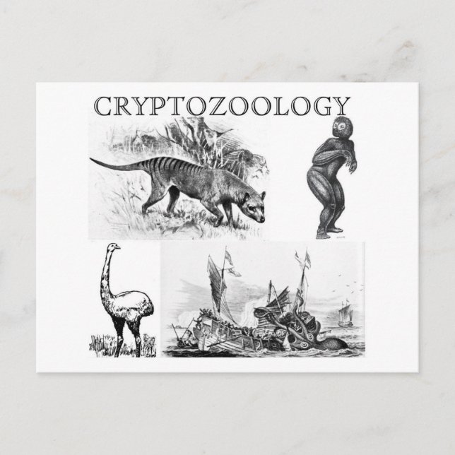 carte postale de cryptozoology (Devant)