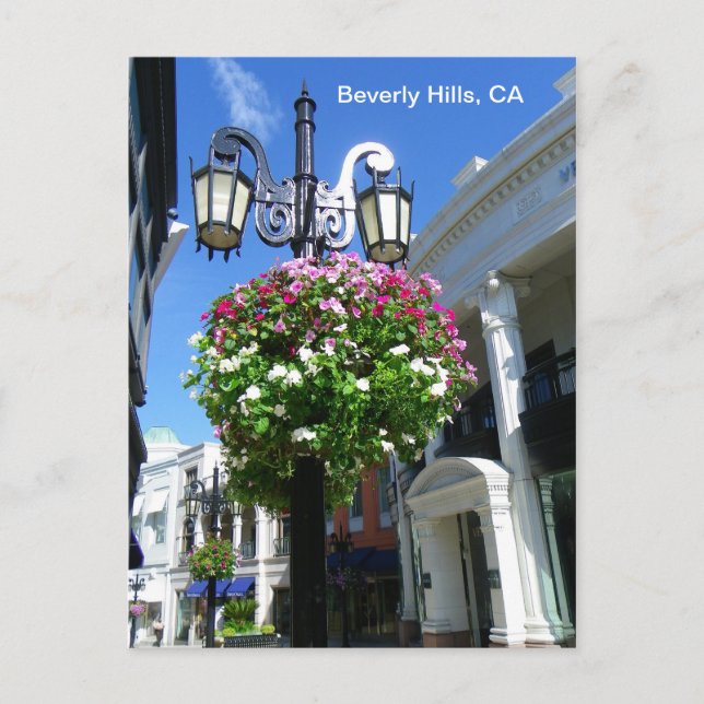 Carte postale de Cute Beverly Hills ! (Devant)