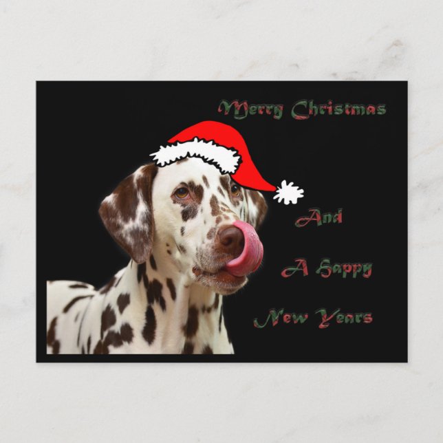 Carte postale de Dalmate de Noël (Devant)