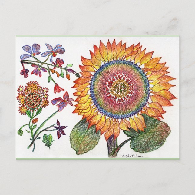 Carte postale de dessin de tournesol (Devant)