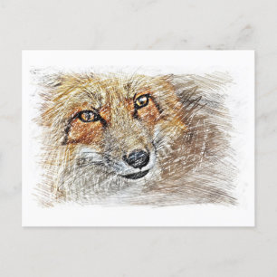 Carte postale de dessin Fox