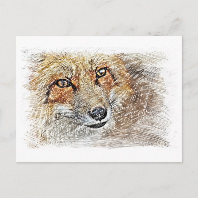 Carte postale de dessin Fox (Devant)