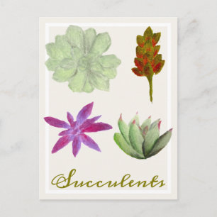 Carte postale de dessins au crayon de plantes gras