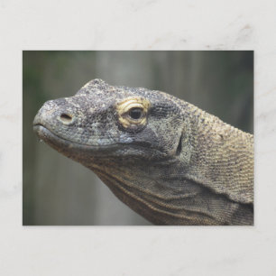 Carte postale de dragon de Komodo