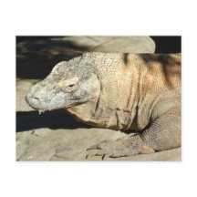 Carte postale de dragon de Komodo
