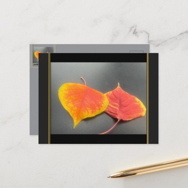 Carte postale de feuilles d'automne (Devant/Arrière en situation)