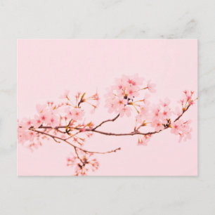 Carte postale de fleur en marbre rose