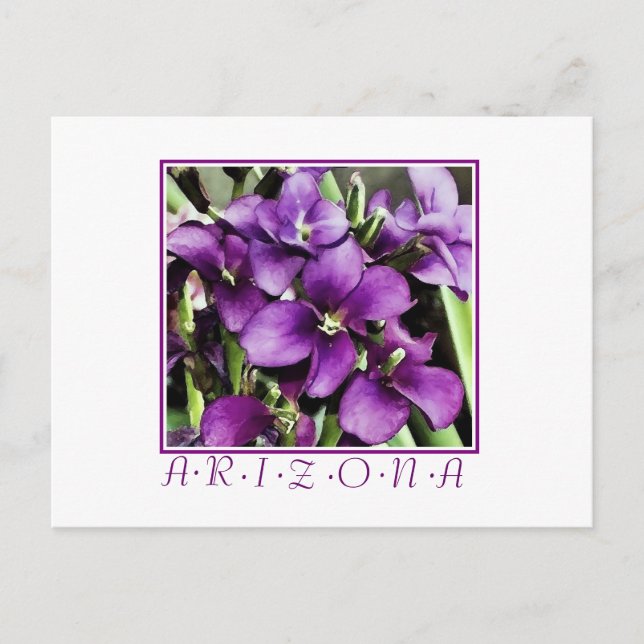 Carte postale de fleur violette d'Arizona (Devant)