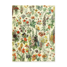 Carte postale de fleurs botaniques vintage
