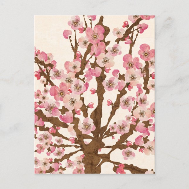 Carte postale de fleurs de cerisier (Devant)