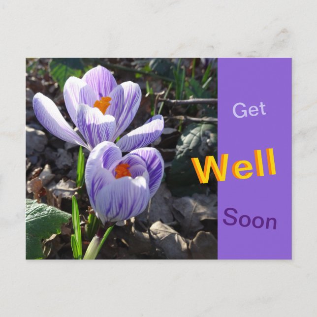 Carte postale de fleurs de crocus rayés pour un pr (Devant)