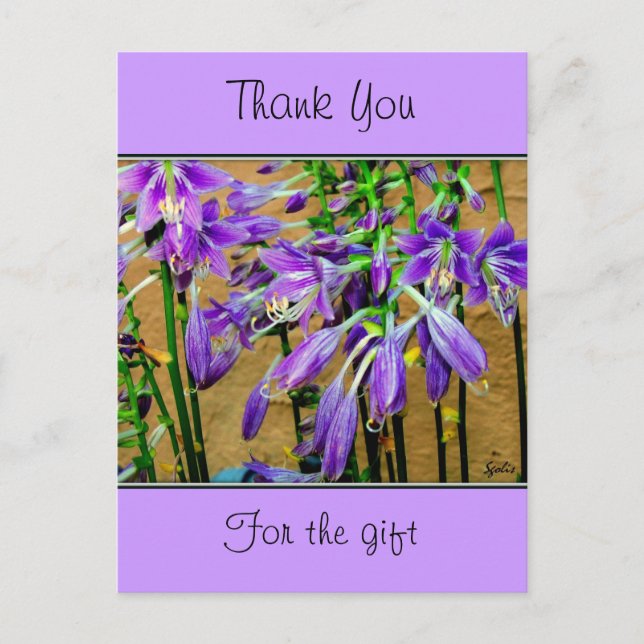 Carte postale de fleurs violettes d'Hosta (Devant)