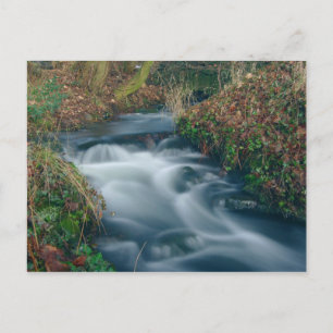 Carte postale de flux Dreamy