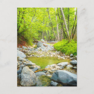 Carte postale de Forest Creek   Œuvre d'art représ
