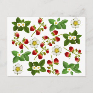 Carte postale de fraises