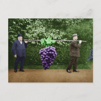 Carte postale de Friar Park #17