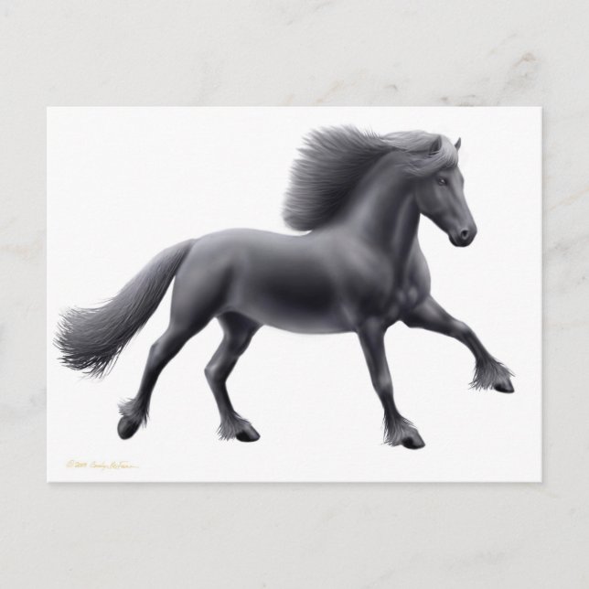 Carte postale de Frison courant librement (Devant)