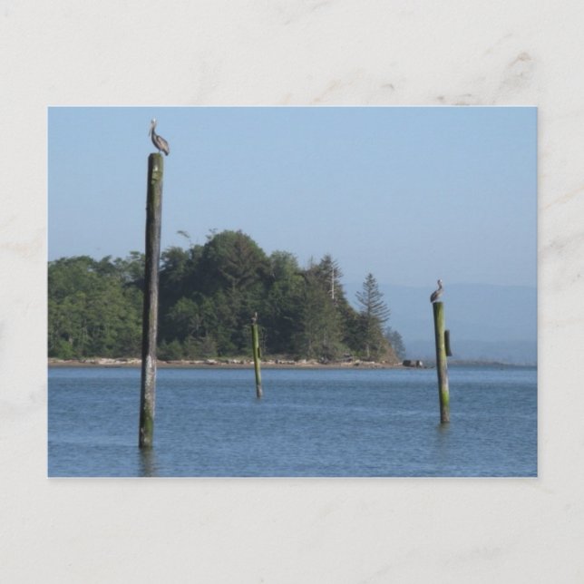 Carte postale de garde (Devant)