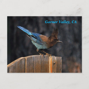Carte postale de Garner Valley