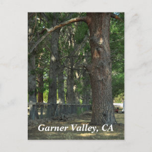 Carte postale de Garner Valley, CA