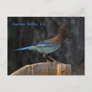 Carte postale de Garner Valley, CA