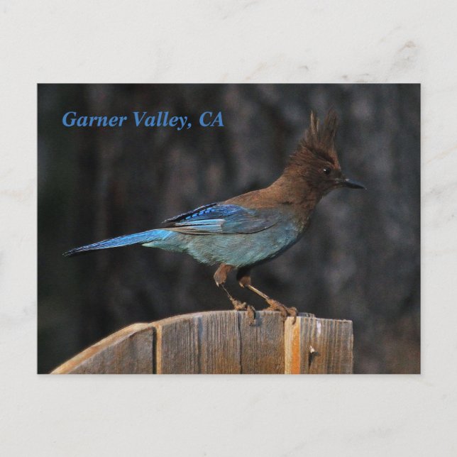 Carte postale de Garner Valley, CA (Devant)