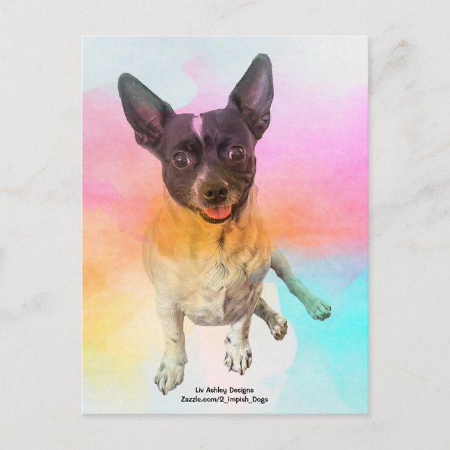 Carte postale de Gemma Disco (Devant)