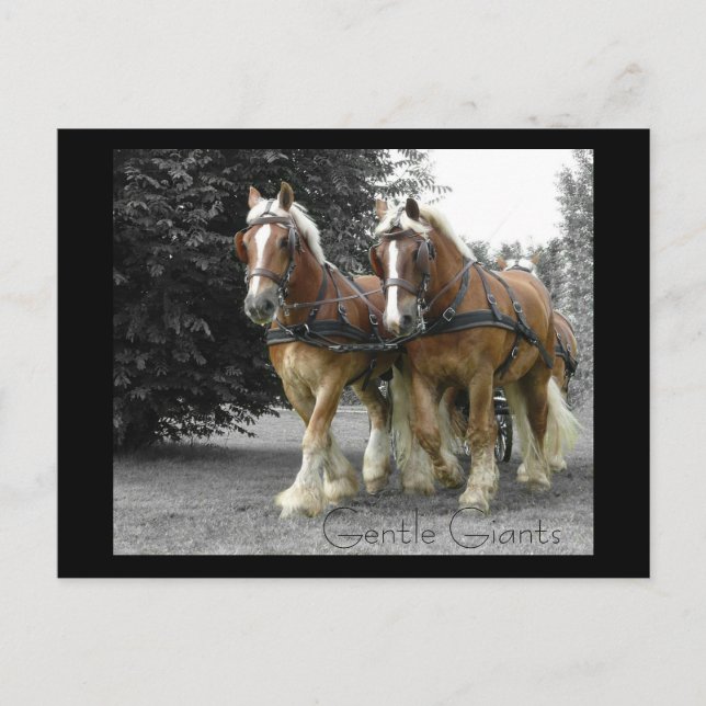 Carte postale de Gentle Giants (Devant)