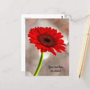 Carte postale de gerbera rouge unique