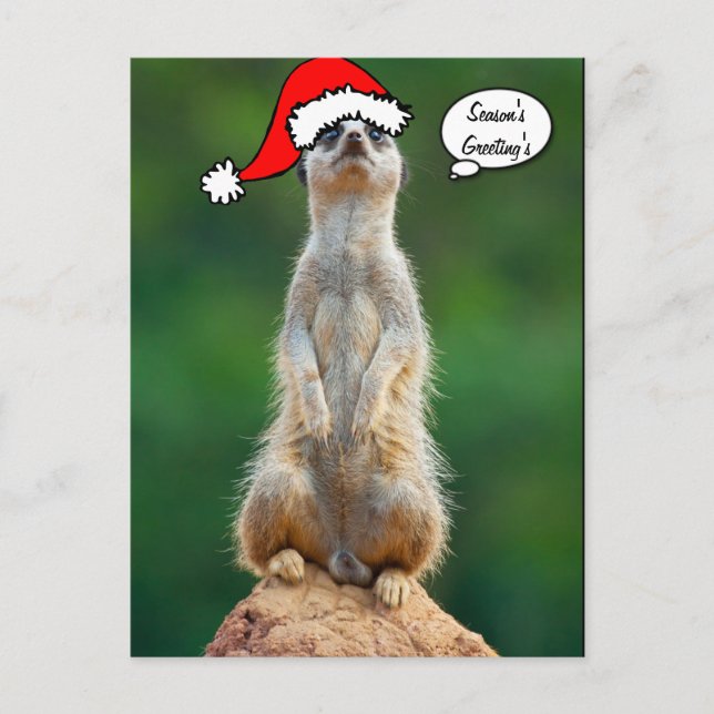 Carte postale de Gopher de chien de prairie de (Devant)