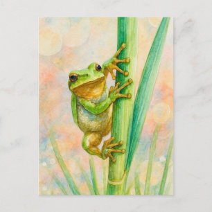 Carte postale de grenouille au temps du printemps