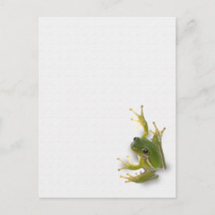 carte postale de grenouille "prince"
