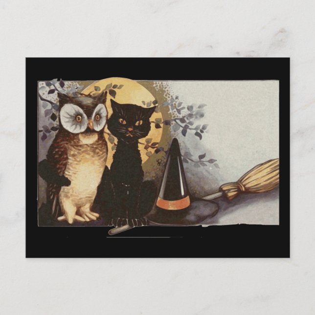 carte postale de hibloween owl et cat (Devant)