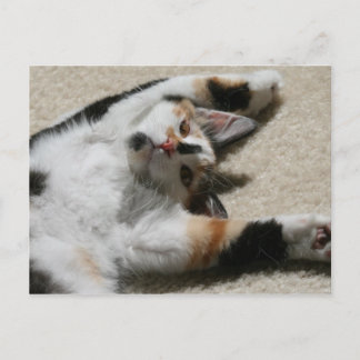 Carte postale de Hope