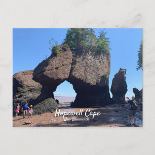 Carte postale de Hopewell Cape Nouveau-Brunswick