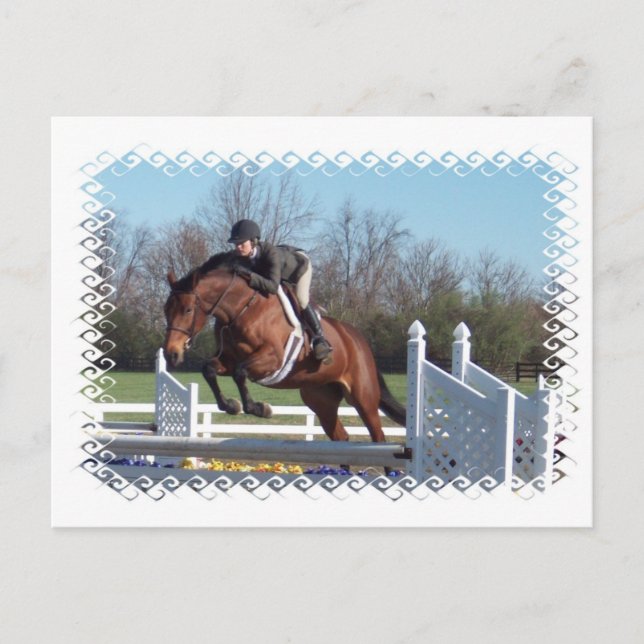 Carte postale de Horses and Show (Devant)