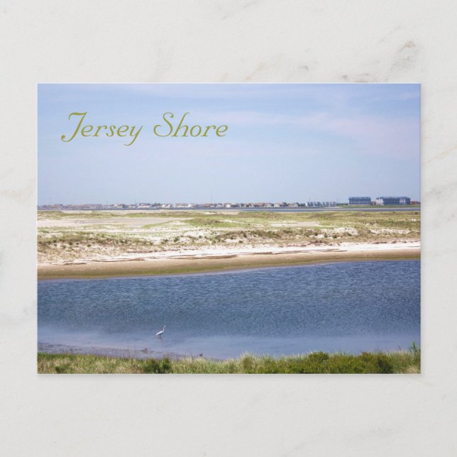 Carte postale de Jersey Shore Point (Devant)