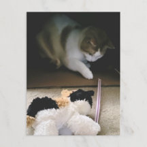 Carte postale de jeu avec un chat en peluche