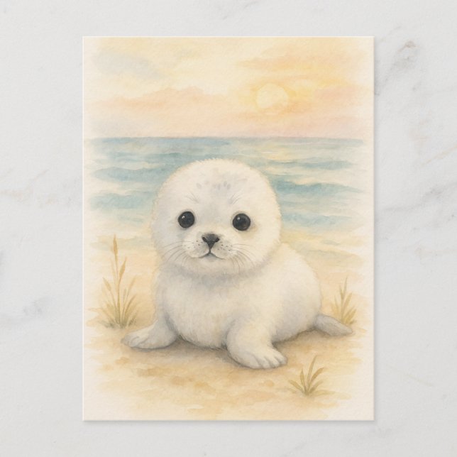 Carte postale de jeunes animaux sauvages bébé phoq (Devant)
