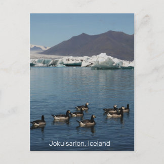 Carte postale de Jokulsarlon Islande