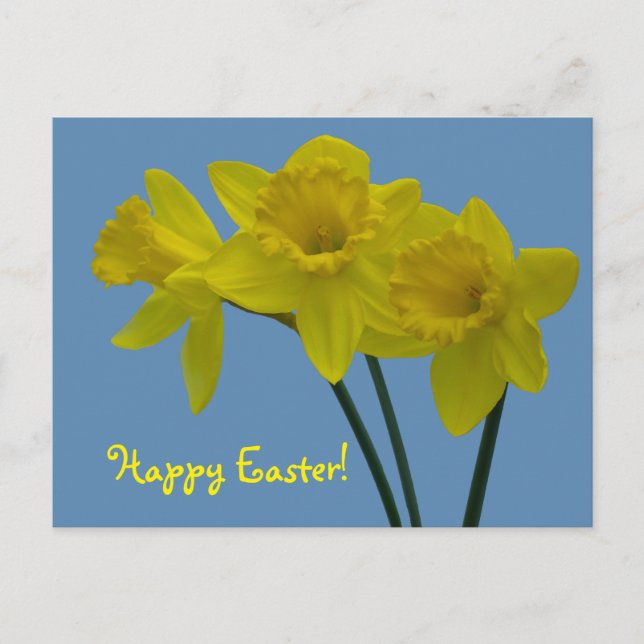 Carte postale de jonquilles "Joyeuses Pâques" (Devant)