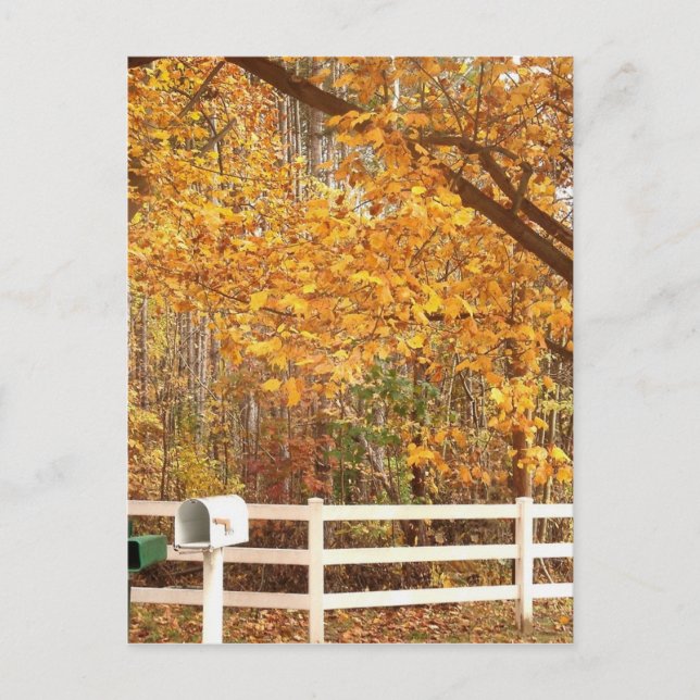 Carte postale de jour d'automne (Devant)
