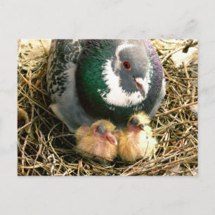 Carte postale de jour de mères